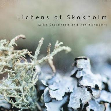 bokomslag Lichens of Skokholm
