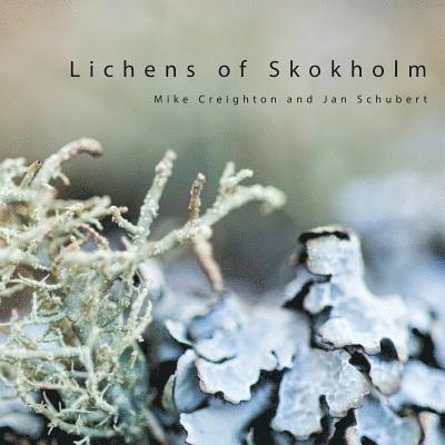 Lichens of Skokholm 1