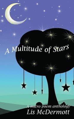 A Multitude of Stars 1