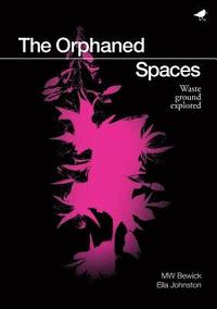 bokomslag The Orphaned Spaces