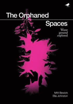 MW Bewick, Ella Johnston - Orphaned Spaces, Häftad