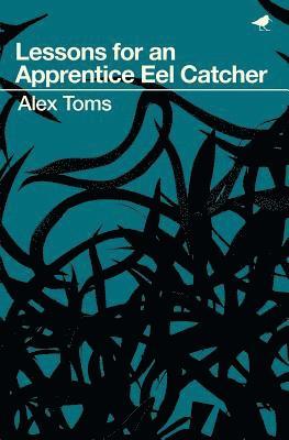 Alex Toms - Lessons for an Apprentice Eel Catcher, Häftad