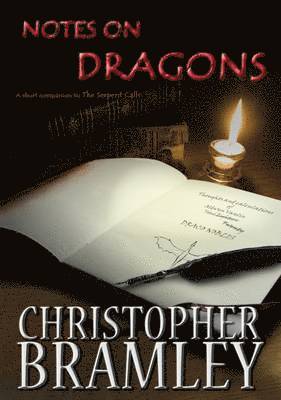 bokomslag Notes on Dragons