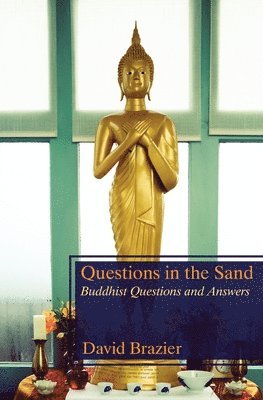 David Brazier - Questions in the Sand, Häftad
