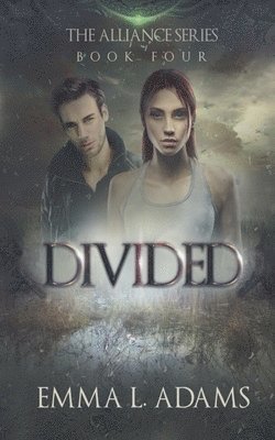 Divided 1