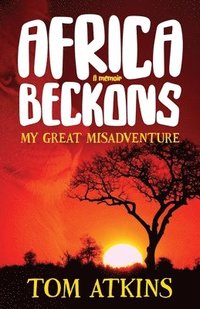 bokomslag Africa Beckons