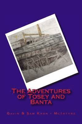 bokomslag Adventures of Tosey and Banta