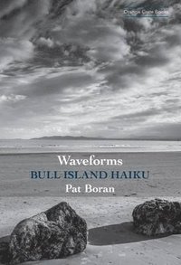 bokomslag Waveforms: Bull Island Haiku