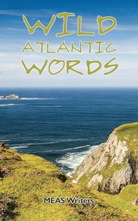 bokomslag Wild Atlantic Words