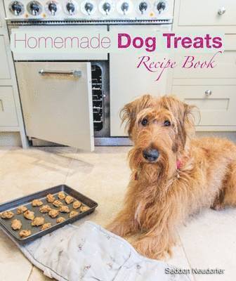 Homemade Dog Treats 1