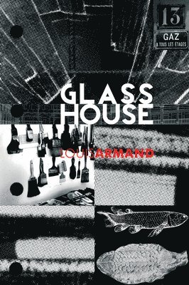 Louis Armand - GlassHouse, Häftad