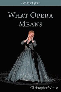 bokomslag What Opera Means