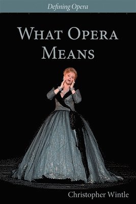Christopher Wintle, Kate Hopkins, Kate Hopkins - Wintle, C: What Opera Means, Häftad