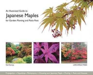 bokomslag Illustrated Guide to Japanese Maples for Garden Planting and Patio Pots