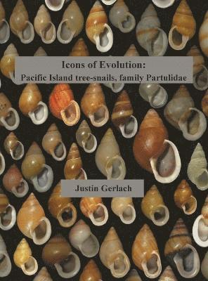 bokomslag Icons of Evolution: Pacific Island tree-snails of the family Partulidae