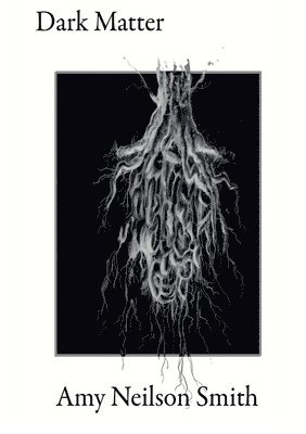 Amy Smith - Dark Matter, Häftad