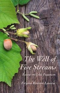 bokomslag The Well of Five Streams