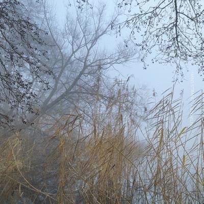 Hans Strand - Hans Srand Intimate 1, Inbunden