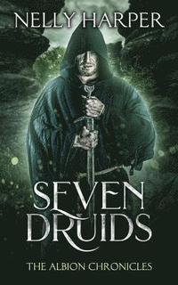 bokomslag Seven Druids