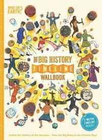 bokomslag The Big History Timeline Wallbook