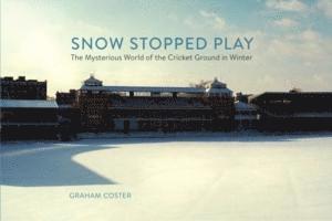 Snow Stopped Play 1