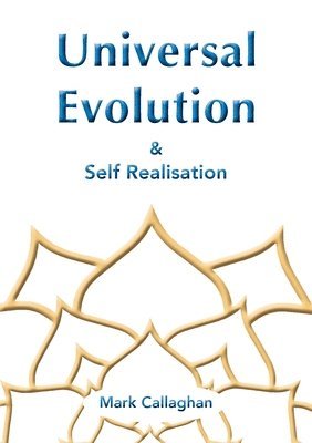 bokomslag Universal Evolution