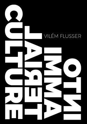 Vilem Flusser, Rodrigo Maltez Novaes - Into Immaterial Culture, Häftad
