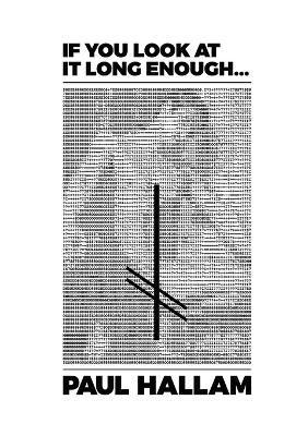 Paul Hallam, Rodrigo Maltez Novaes - If You Look at it Long Enough..., Häftad