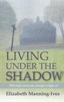 bokomslag Living Under the Shadow