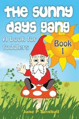 The Sunny Days Gang Book 1 1