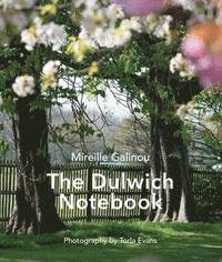 bokomslag The Dulwich Notebook