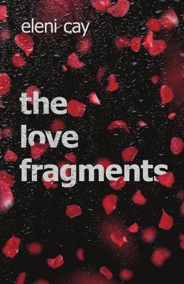 bokomslag The Love Fragments