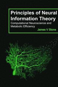 bokomslag Principles of Neural Information Theory