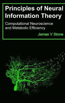 bokomslag Principles of Neural Information Theory