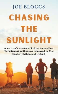 Joe Bloggs - Chasing the sunlight, Häftad