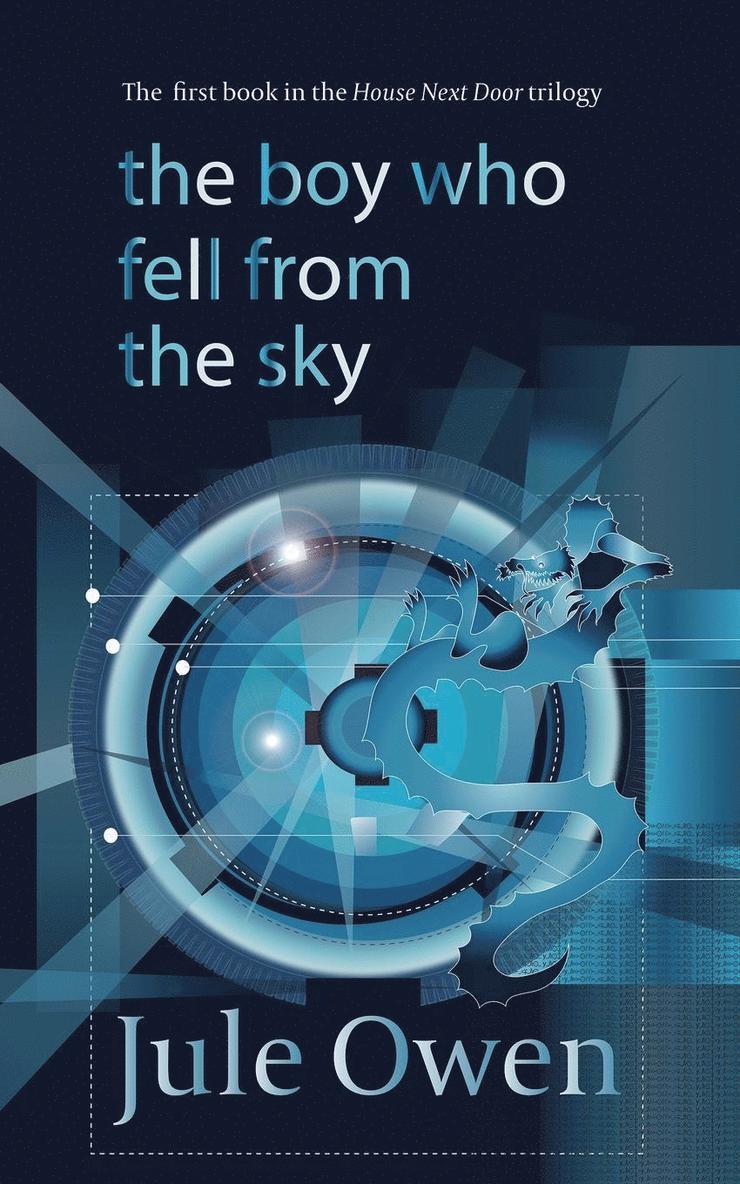 The Boy Who Fell from the Sky 1