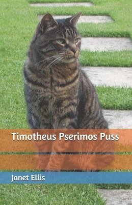 bokomslag Timotheus Pserimos Puss