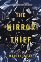 bokomslag The Mirror Thief