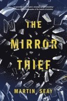 The Mirror Thief 1