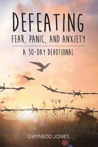 bokomslag Defeating Fear, Panic, and Anxiety - A 30-Day Devotional