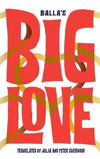 bokomslag Big Love