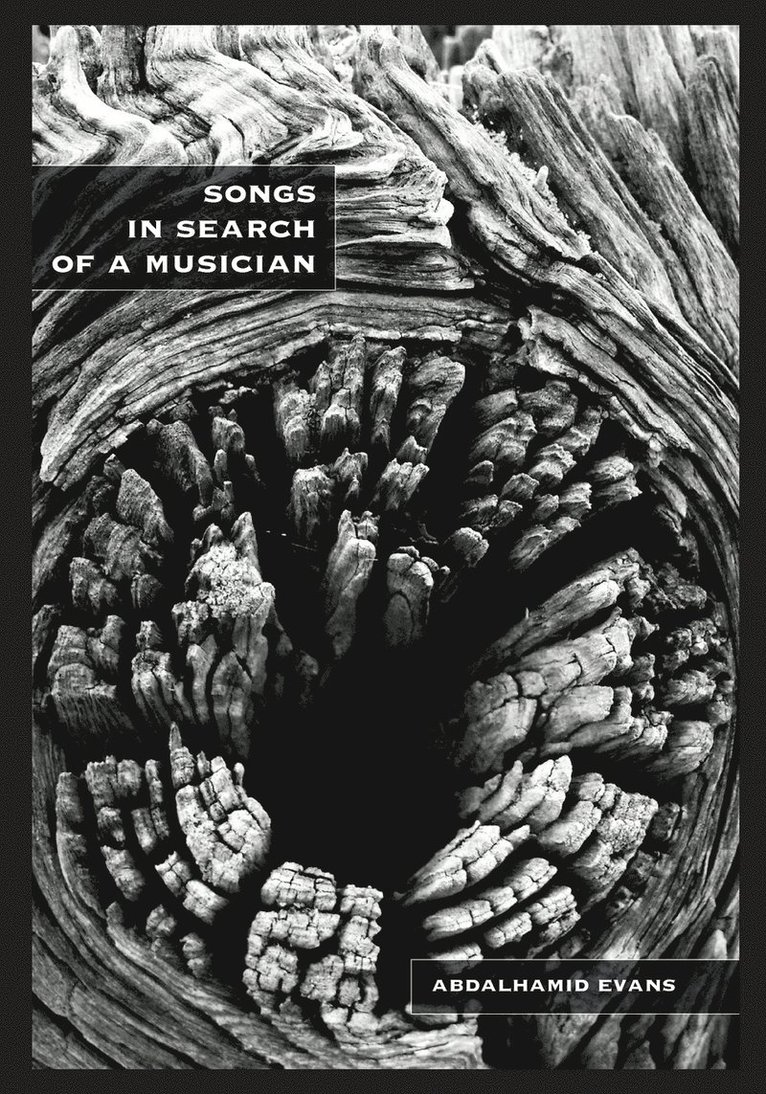 Abdalhamid Evans, Abdalhamid David Evans - Songs in Search of a Musician, Häftad