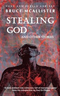 bokomslag Stealing God And Other Stories