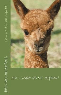 So... What is an Alpaca? 1