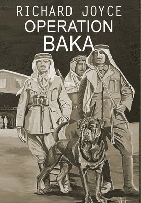 bokomslag Operation Baka