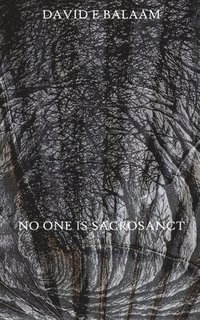 bokomslag No One Is Sacrosanct