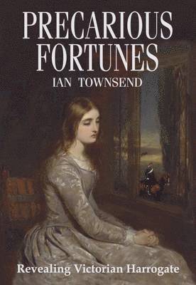 Ian Townsend - Precarious Fortunes, Häftad