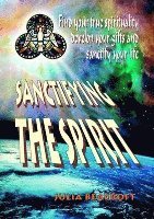 Julia Beacroft, Adrian Wardle - Sanctifying the Spirit, Häftad