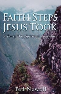 bokomslag Faith Steps Jesus Took: A Forty Day Spiritual Adventure