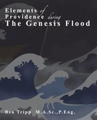 bokomslag Elements of Providence: during the Genesis Flood